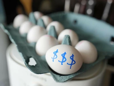 ‘계란값 담합’있었나… 반독점 소송 추진