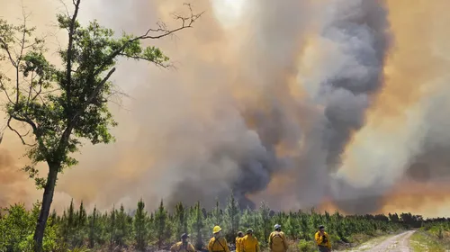 조지아 남부 산불 확산…비상사태 선포
