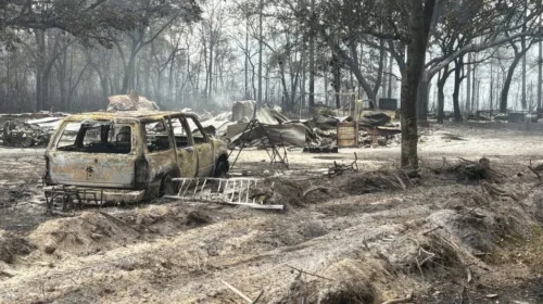 주 전역 단비…산불 ‘주춤’ 가뭄엔 ‘역부족’