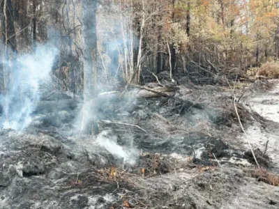 “조지아 산불은 의도적”…음모론 확산