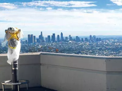 팬데믹에 꽁꽁 묶인 1년… 일상은 언제쯤