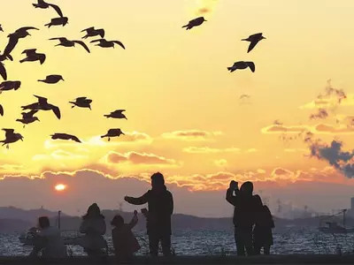 〈사진〉 아쉬움과 설렘이 동시에 물드는…