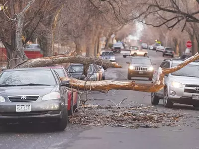 6개월마다 한번씩‘샤핑’ 다양한 보험사 견적 비교