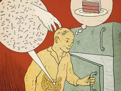 식습관 따라 장내 미생물군집  확  달라진다