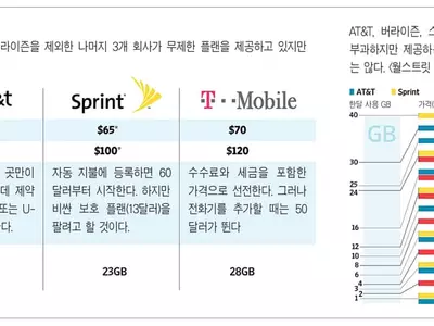 무제한·끼워팔기·페널티…소비자들 선택‘헷갈려’