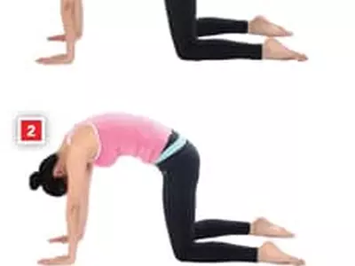 여성은 고양이·남성은 매킨지 스트레칭… 뭉친 어깨·뻐근한 허리 풀어주세요