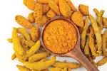 심황Turmeric- 카레의 원료… 식품이면서도 의약적 효능 탁월