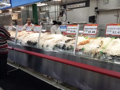 〈주말 마트 정보〉한국산 한라봉 입하 & 고객감사 세일까지