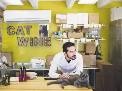 “애완동물도 가족” 고양이 와인 등장 인기
