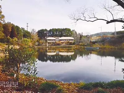 만리포 옆 천리포… 40년 비밀정원에 봄기운 꼬물꼬물
