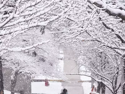 〈사진〉북동부는 아직 한겨울