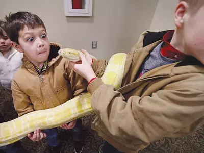 “집 보러 갔더니 이구아나 한 마리가 나를 반기네…”