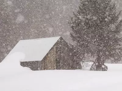 눈 폭풍 지난 자리…봄꽃 만발 속 홍수  걱정할 판