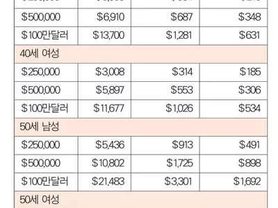 ‘텀’ 일정기간 커버…‘홀라이프’ 종신보장