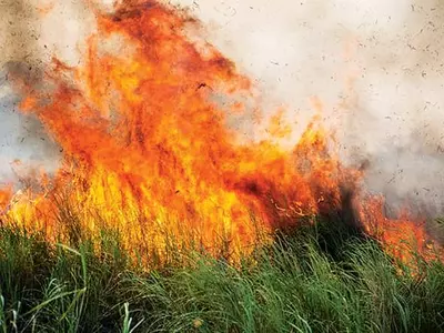 산불 몸에 붙으면 ‘불’꺼질 때까지 굴러라