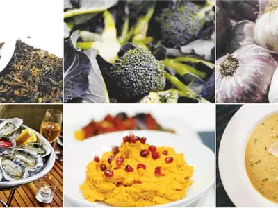 면역력 강화? 주변에 넘치는게 보약이죠