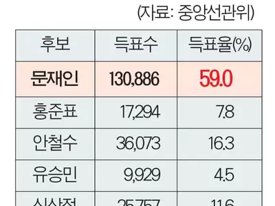 재외한인 59% 문재인 찍었다