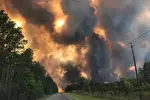 주춤하던 조지아 남부 산불 다시 확산