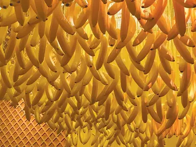 우울할 때 한 입 베면 행복을 부른대요- 바나나