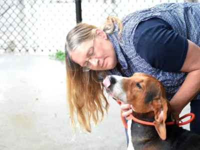 "애완동물 많아요, 사지 말고 입양하세요"