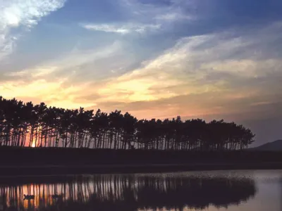 섬인듯 섬 아닌 섬 안면도