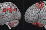 '사람마다 IQ 다른 이유' 세계 첫 규명