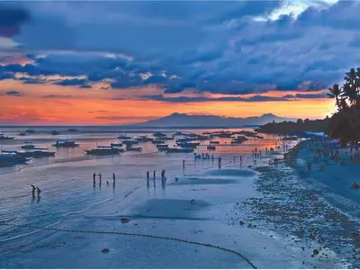 거북이 지키는 바다... 반딧불 영롱한 보물섬