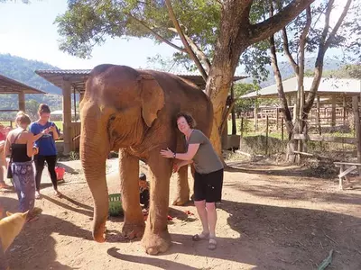 “인생 재부팅하자” 중년·노년층에도 갭이어(Gap year) 바람