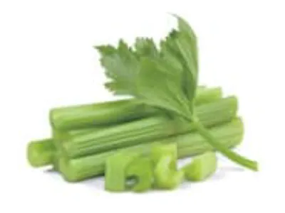 지방만 늘리는 ‘다이어트의 적’