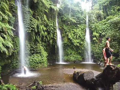 초록 융단 뒤덮인 밀림에 하얀 커튼 드리운 듯 폭포수