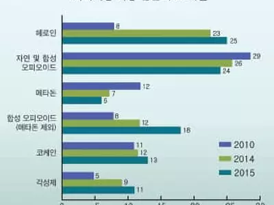 “‘길거리 마약’보다‘오피오이드(마약성 처방 진동제)’더 치명적”