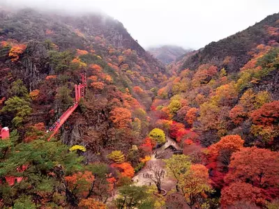 단풍길따라 남도부터 동해까지~‘힐링’하러 가요