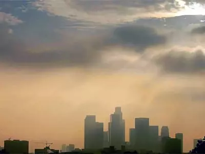 대기오염이 신장병 발병도 높인다