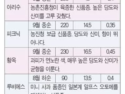 새콤달콤 사과의 계절… 내 입에 맞는 품종은?