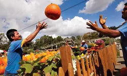 개인 취향따라‘호불호’갈린다