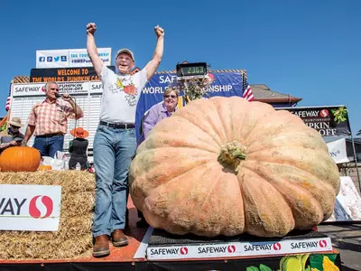 〈사진〉 역대 최대 1톤짜리 초대형 호박