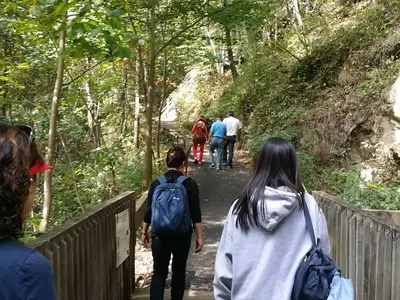 "조지아 갈 곳 ∙ 볼 곳 생각보다 많아요"