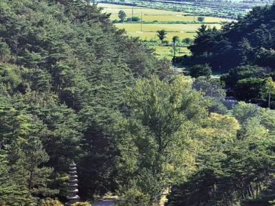 발길 따라 만나는 부처님 나 닮은 불상 찾아볼까