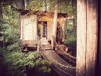 〈사진〉 에어비앤비 최고 인기  벅헤드 트리하우스