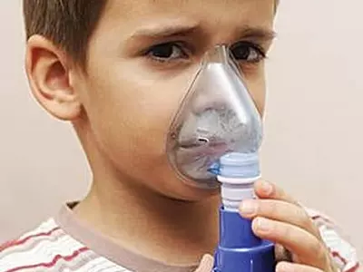 집안 곰팡이·해충·펫 앨러지도 원인-  아이들 천식