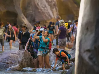 연 3억이상 관광인파 국립공원 생태계 위협