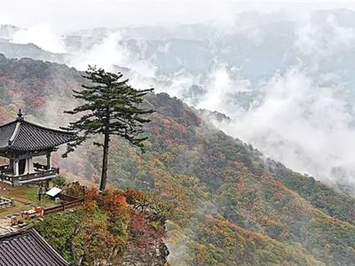 선홍빛 단풍바다와 하얀 구름바다가 하나로