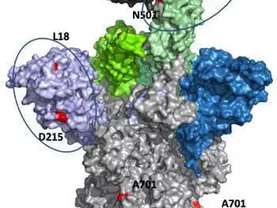 "브라질·남아공 변이, 기존 백신 항체론 어렵다"