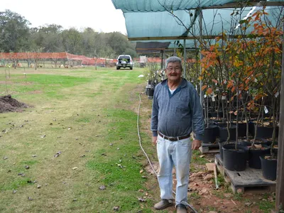 “유실수는 11월에 심어야 건강”