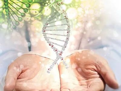 난공불락 폐암도 생존율 2배… 글로벌제약사 ‘항암치료 3차 대전’