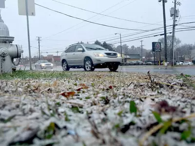 '폭설' 한인타운, 다시 '일상'으로