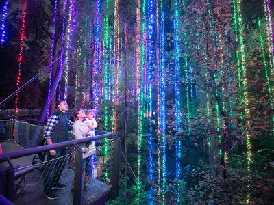 크리스마스 볼거리 & 놀거리 '어디 갈까?'