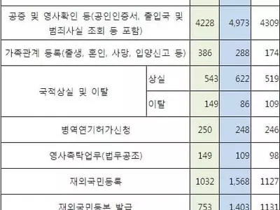 동남부 한인2세들 국적포기 다시 늘었다