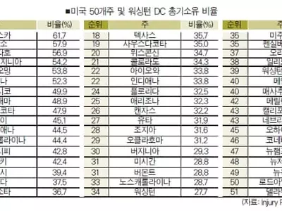 조지아 주민 10명 중 3명 총기소유