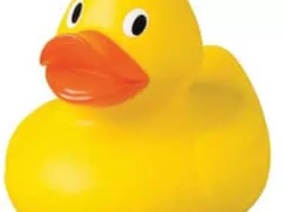 어린이 목욕 때 ‘오리 장난감’, 세균 득실